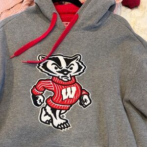 Gray UW Madison hoodie
